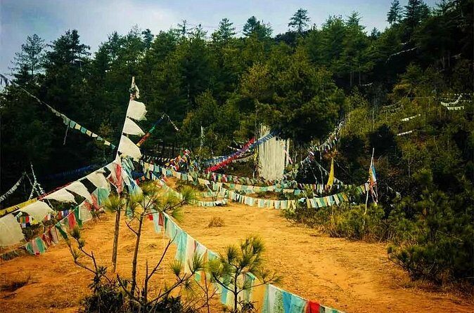 Bhutan-Buddha Point to Changangkha Hike - Why Choose This Tour?