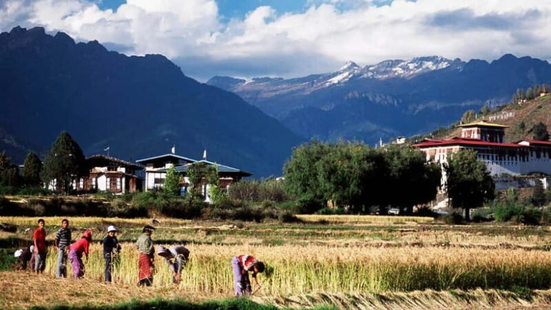 Bhutan Glimpse - Practicalities and Considerations