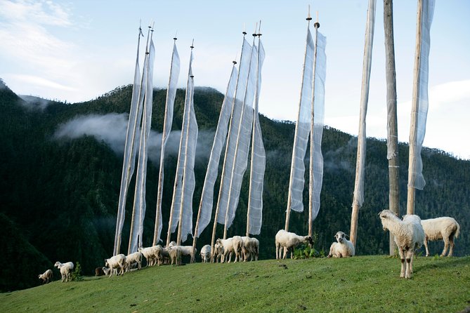 Bhutan-The Kingdom in the Sky ( 12 Nights 13 Days ) - Sustainable Tourism Initiatives