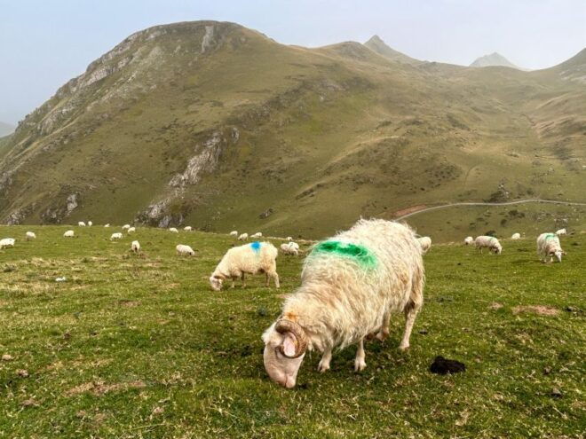 Biarritz : 1/2 Day Inland Excursion! - Full Description