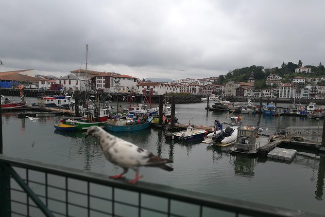 Biarritz & La Côte Basque Private Tour - Flexible Stops at Area Highlights