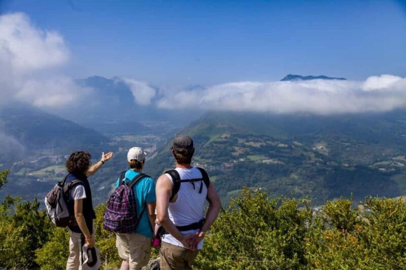 Biarritz: Visit to the Sanctuary of Lourdes in small group - Why This Tour Offers Great Value
