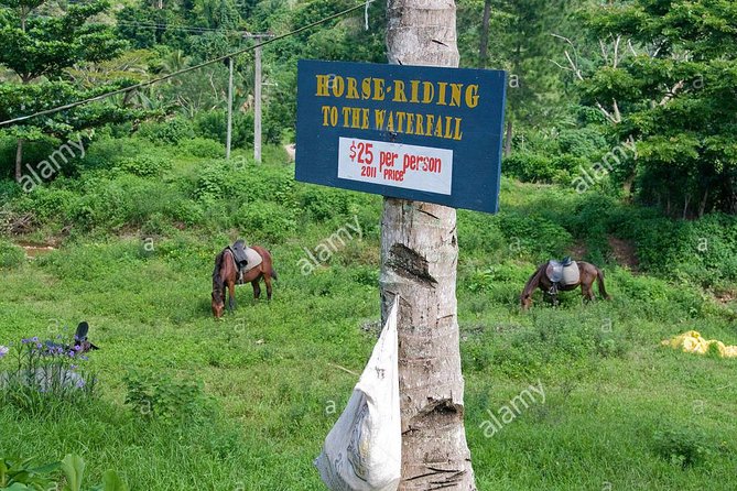 Biausevu Waterfall Half-Day Private Tour  - Nadi - Tour Details