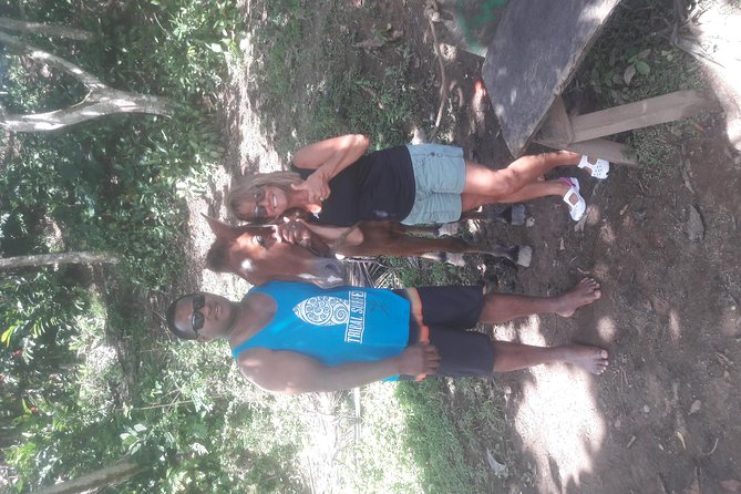 Biausevu Waterfall Half-Day Private Tour  - Nadi - Cancellation Policy