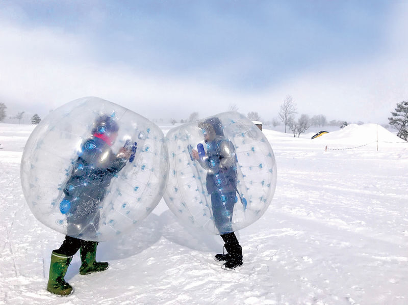 Bibai Snow Land Ski Tour from Bibai - Who will get the most from this day