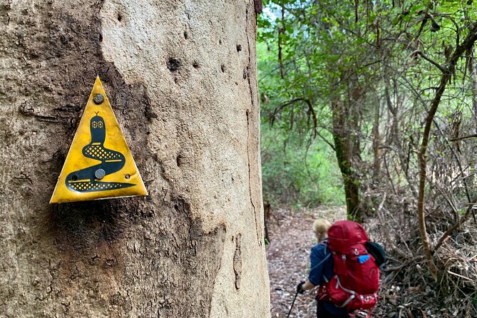 Bibbulmun Multi-Day Hike & Camp Pemberton – Northcliffe - Tips for a Successful Hike