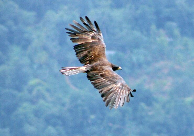 Bible Rock: Private Guided Hiking Expedition - Cancellation Policy Details