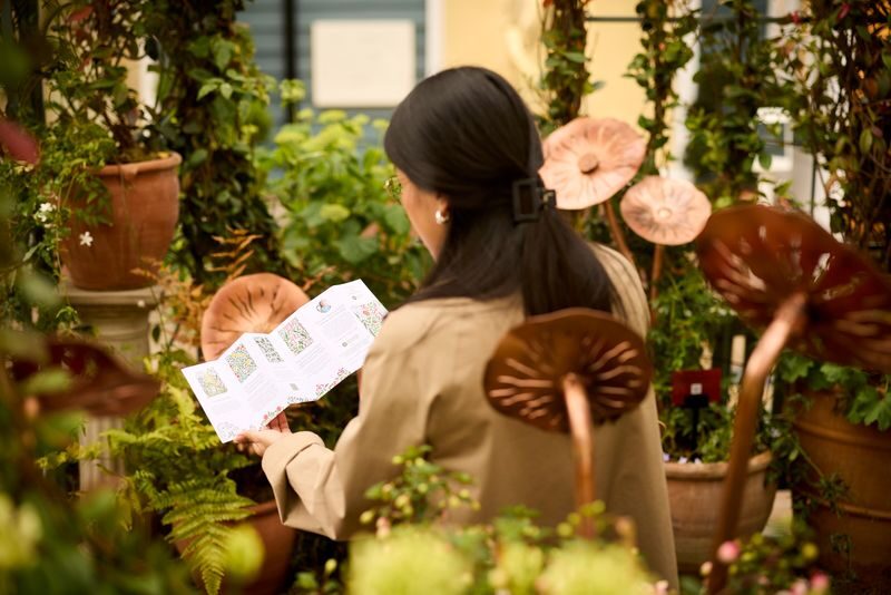 Bicester Village -Shopping Experiences and Transportation from London - Should You Book the Bicester Village Coach Trip?