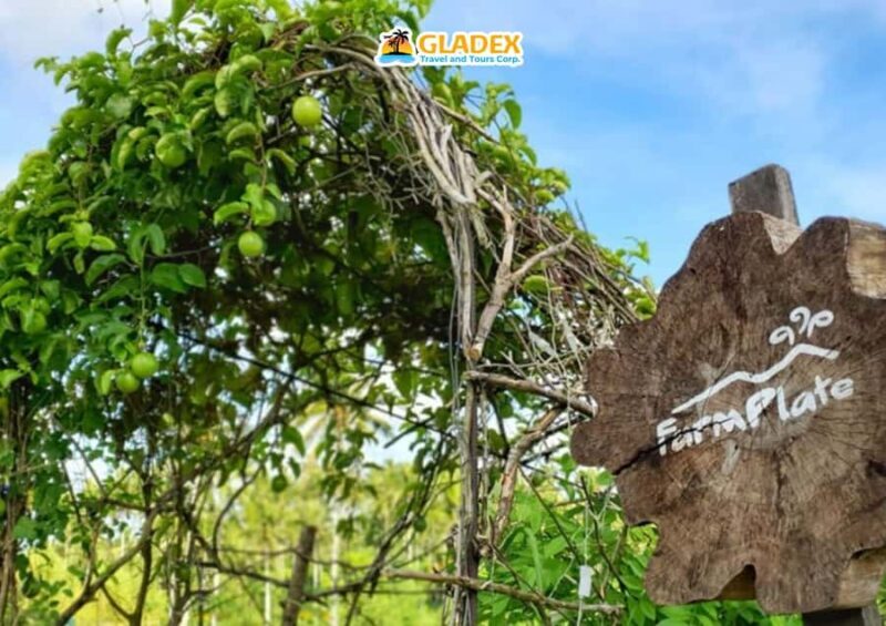 Bicol Culinary Tour in Albay with Farm Plate - Good To Know