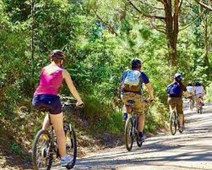 Bicycle Adventure: Bandarawela to Karadagolla Tour - Itinerary Highlights