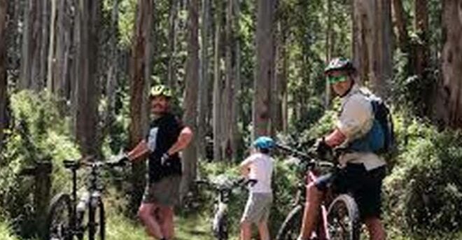 Bicycle Adventure: Bandarawela to Karadagolla Tour - Tea Factory Experience