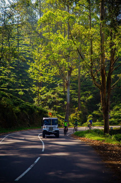 Bicycle Adventure-Bandarawela to Punagala & Tea Factory Tour - Inclusions and Exclusions