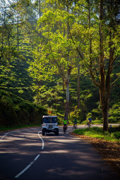 Bicycle Adventure-Bandarawela to Punagala & Tea Factory Tour - Frequently Asked Questions