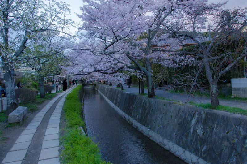 Bicycle Adventure Experience in Kyoto - Nanzenji and the Philosopher’s Path