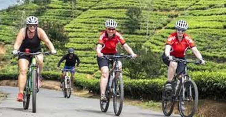 Bicycle Adventure-Liptons Seat & Dambetenna Tea Factory Tour - Good To Know