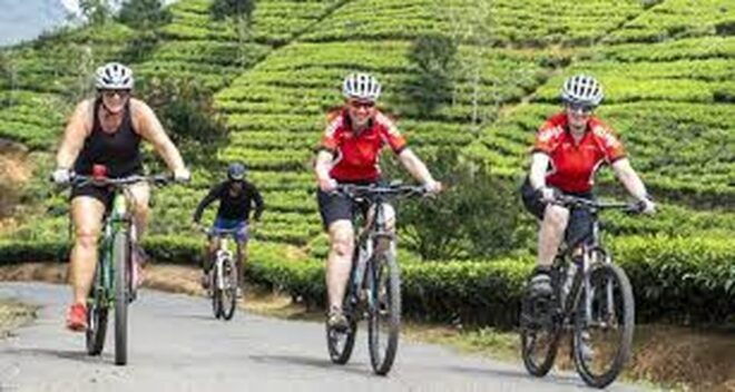 Bicycle Adventure-Liptons Seat & Dambetenna Tea Factory Tour - What to Bring