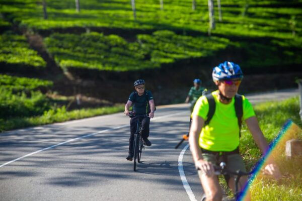Bicycle Adventure-Liptons Seat & Dambetenna Tea Factory Tour - Cycling Experience