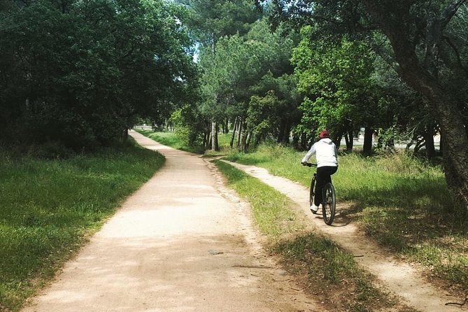 Bicycle Rental - Additional Info