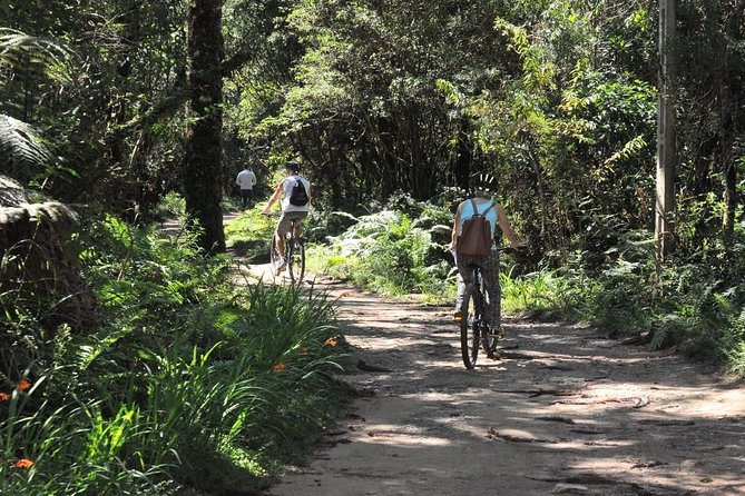 Bicycle Rental in Horto Florestal - Campos Do Jordão - Inclusions
