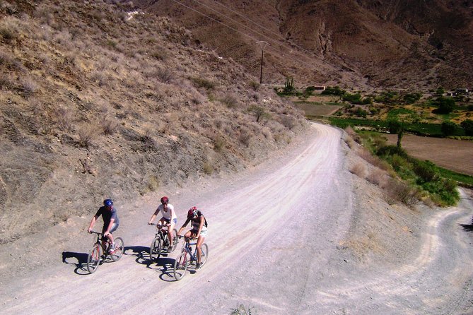 Bicycle Rides - The Sum Up