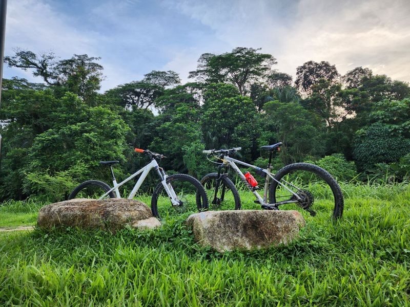 Bicycle(s) For Rent + Delivery - Key points to know before you ride