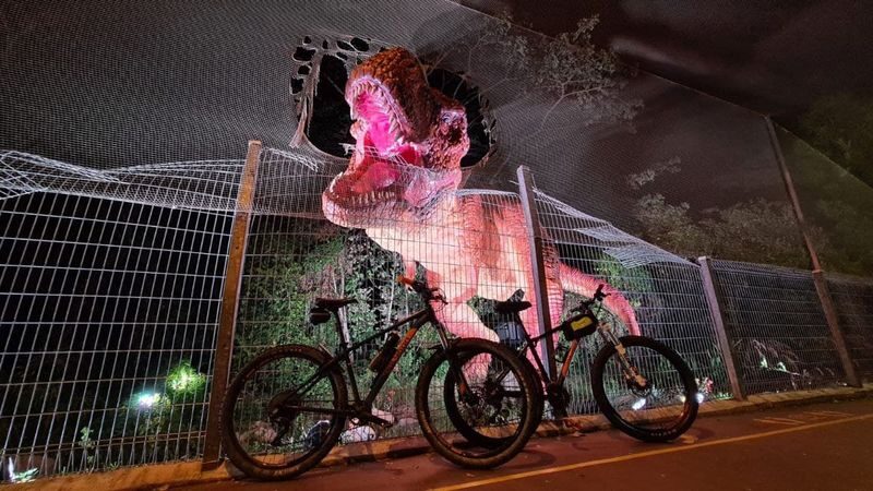 Bicycle(s) For Rent + Delivery - What the price includes, and what it does not
