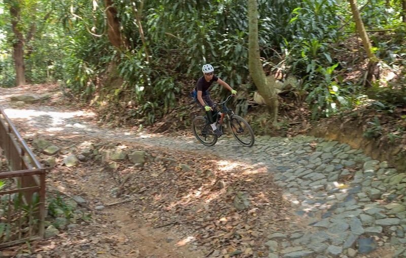 Bicycle(s) For Rent + Delivery - Who will get the most from this rental