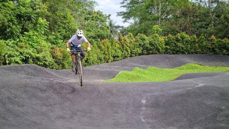 Bicycle(s) For Rent + Delivery - Booking details worth checking