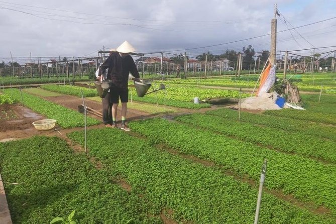 Bicycle to Tra Que Vegetable Village & Basket Boat 2 Destionation1 Tours - Enjoying Authentic Local Cuisine