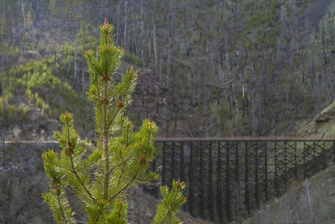 Bicyle Tour on Historical Kettle Valley Railway From Myra Canyon to Penticton - Pricing and Availability