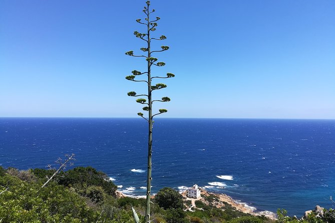 Biderosa and Capo Comino Beach Tour - Meeting and Pickup Details