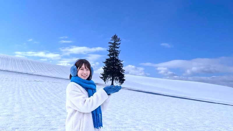 Biei, Furano Lavender, Ningle Terrace & Melon Buffet Bus Tour - At a glance