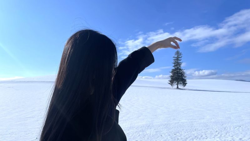 Biei, Furano Lavender, Ningle Terrace & Melon Buffet Bus Tour - Biei Shrine and the countryside photo stops