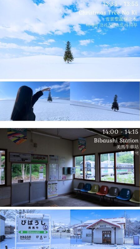 Biei, Furano Lavender, Ningle Terrace & Melon Buffet Bus Tour - Who should choose this bus tour