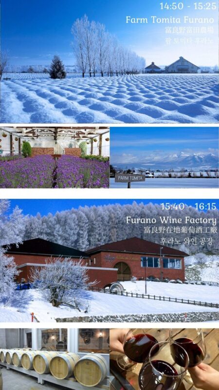 Biei, Furano Lavender, Ningle Terrace & Melon Buffet Bus Tour - Should you book it?