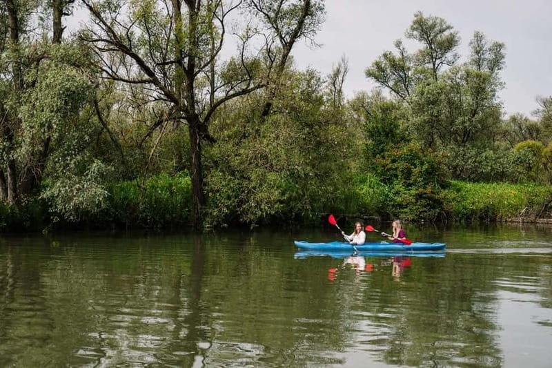 Biesbosch: Kayak Rental with Route Map and Life Jacket - An Authentic Self-Guided Kayaking Adventure in Biesbosch