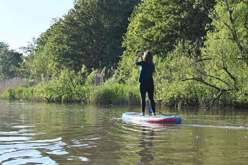 Biesbosch: SUP Board Rental - Discovering the Biesbosch on a SUP Board