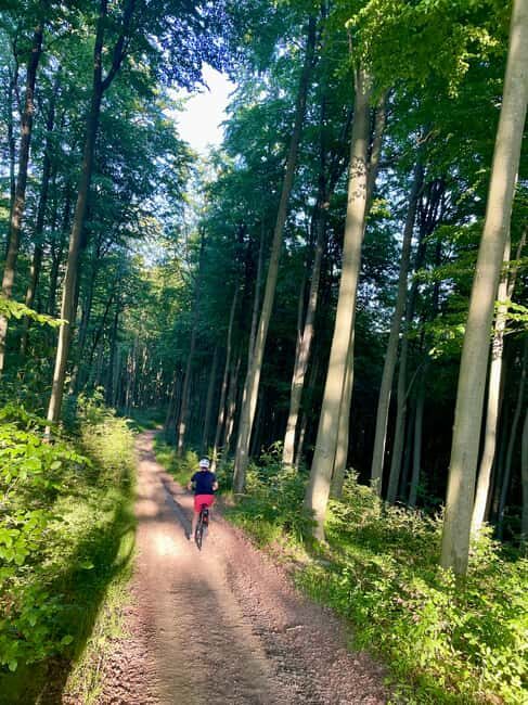 Bieszczady Mountains: Electric Bike Rental with Delivery - Authentic Experiences and Practical Details