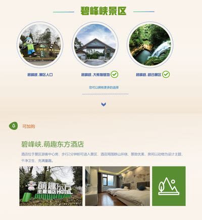 Bifengxia Private Full-Day Tour with Pandas - What the day may look like, and what to confirm