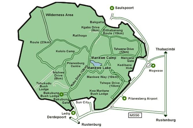 Big 5 Safari Experience at Pilanesberg National Park - The Sum Up