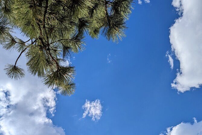 Big Bear Backyard Tasting with Wine, Beer, Charcuterie Fun Vibes - FAQ