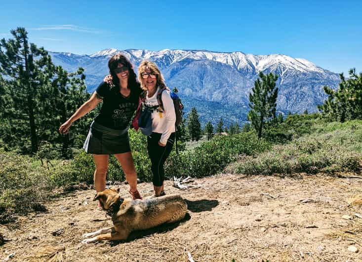 Big Bear: Family-Friendly Nature Walk W Hot Chocolate - Whats Included