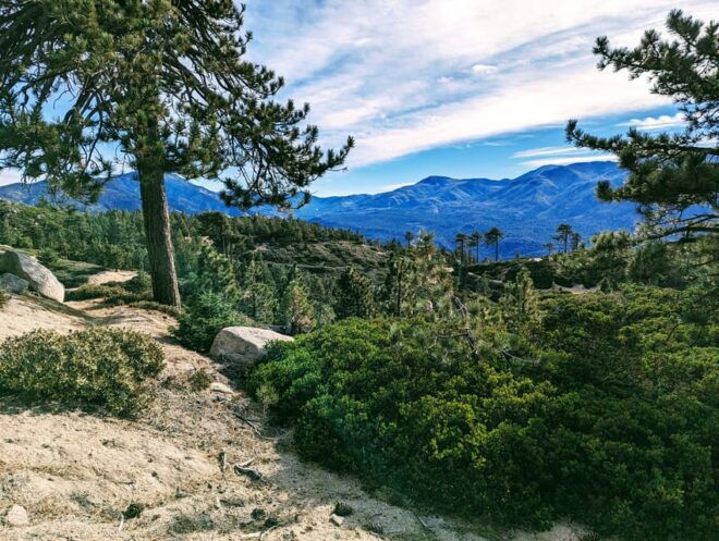 Big Bear: Family-Friendly Nature Walk W Hot Chocolate - Preparation and Requirements