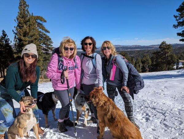 Big Bear: Family-Friendly Nature Walk W Hot Chocolate - Frequently Asked Questions