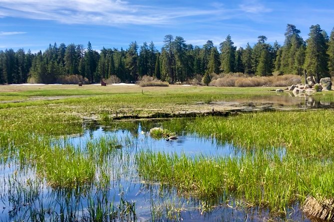 Big Bear Jeep Off-Road Tour With Hike to Bluff Lake Reserve - Inclusions