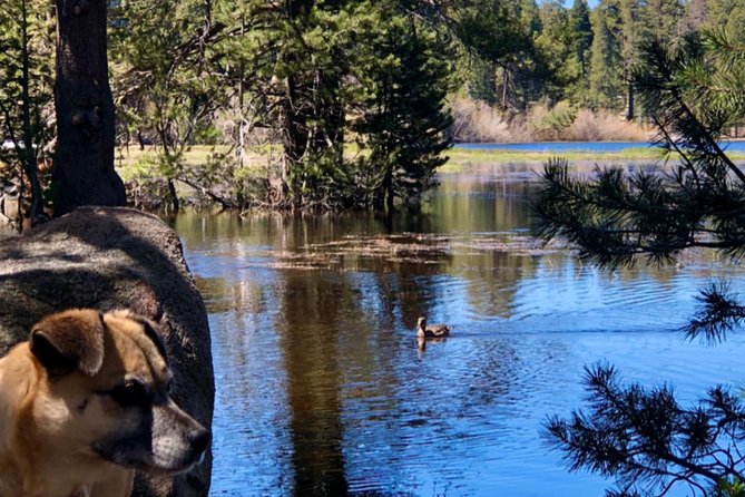 Big Bear Jeep Off-Road Tour With Hike to Bluff Lake Reserve - Directions to the Meeting Point