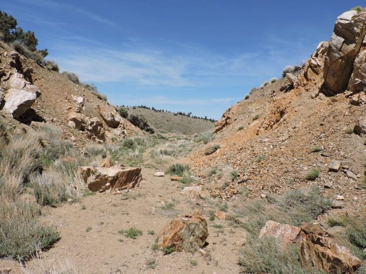 Big Bear Lake: From Seafloor to Mountain, the Story of Gold - Good To Know