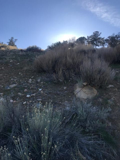 Big Bear Meditation Hike - Hiking the PCT