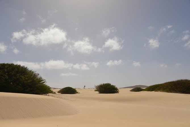 Big Boa Vista Exclusive Tour - Important Information for Travelers