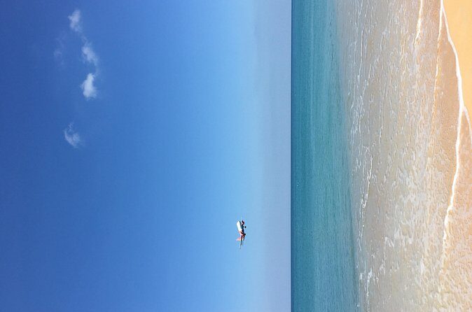 Big Buddha &Tiger Park & Monkey Hill ViewPoint & Phuket Old town - FAQ